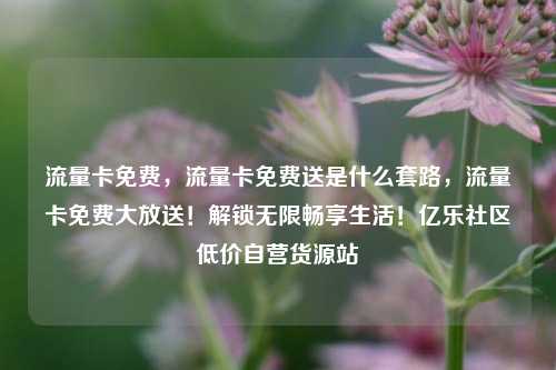 流量卡免费，流量卡免费送是什么套路，流量卡免费大放送！解锁无限畅享生活！亿乐社区低价自营货源站  第1张