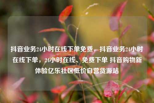 抖音业务24小时在线下单免费，抖音业务24小时在线下单，24小时在线、免费下单 抖音购物新体验亿乐社区低价自营货源站  第1张