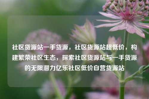 社区货源站一手货源，社区货源站超低价	，构建繁荣社区生态，探索社区货源站与一手货源的无限潜力亿乐社区低价自营货源站  第1张