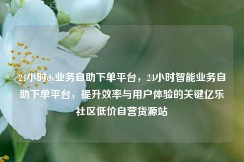 24小时dy业务自助下单平台，24小时智能业务自助下单平台	，提升效率与用户体验的关键亿乐社区低价自营货源站  第1张