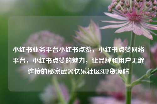 小红书业务平台小红书点赞	，小红书点赞网络平台，小红书点赞的魅力，让品牌和用户无缝连接的秘密武器亿乐社区SUP货源站  第1张
