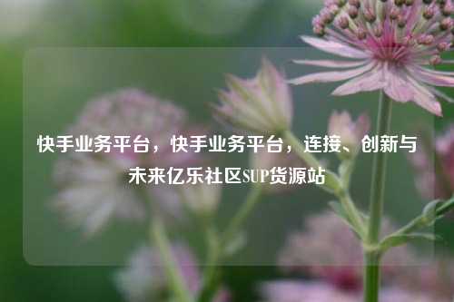 快手业务平台	，快手业务平台，连接、创新与未来亿乐社区SUP货源站  第1张