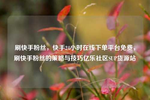 刷快手粉丝	，快手24小时在线下单平台免费，刷快手粉丝的策略与技巧亿乐社区SUP货源站  第1张