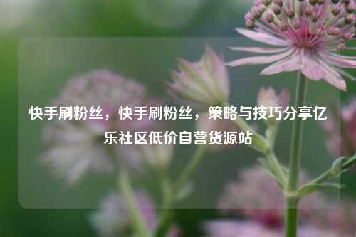 快手刷粉丝，快手刷粉丝	，策略与技巧分享亿乐社区低价自营货源站  第1张