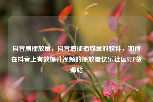 抖音刷播放量，抖音增加播放量的软件	，如何在抖音上有效提升视频的播放量亿乐社区SUP货源站  第1张
