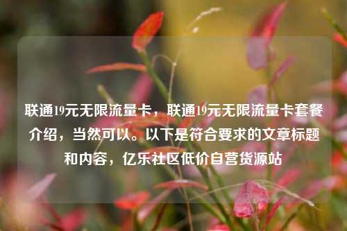 联通19元无限流量卡	，联通19元无限流量卡套餐介绍，当然可以。以下是符合要求的文章标题和内容，亿乐社区低价自营货源站  第1张