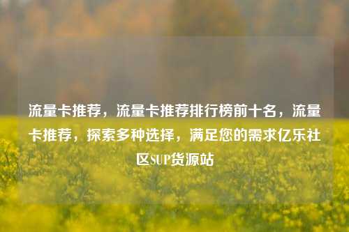流量卡推荐，流量卡推荐排行榜前十名，流量卡推荐，探索多种选择，满足您的需求亿乐社区SUP货源站  第1张