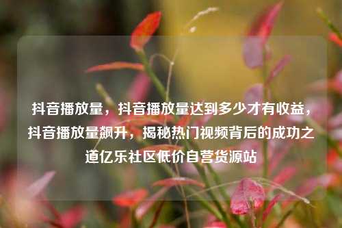 抖音播放量，抖音播放量达到多少才有收益，抖音播放量飙升，揭秘热门视频背后的成功之道亿乐社区低价自营货源站  第1张