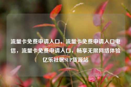 流量卡免费申请入口，流量卡免费申请入口电信	，流量卡免费申请入口，畅享无限网络体验亿乐社区SUP货源站  第1张