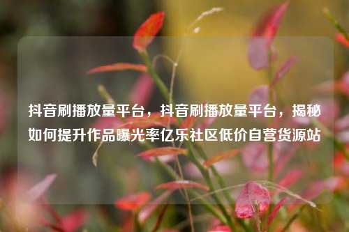 抖音刷播放量平台，抖音刷播放量平台	，揭秘如何提升作品曝光率亿乐社区低价自营货源站  第1张