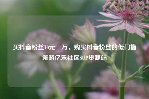 买抖音粉丝10元一万，购买抖音粉丝的低门槛策略亿乐社区SUP货源站  第1张