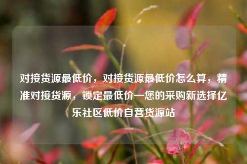 对接货源最低价，对接货源最低价怎么算，精准对接货源	，锁定最低价—您的采购新选择亿乐社区低价自营货源站  第1张