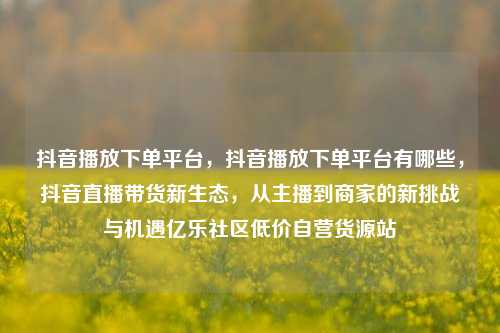 抖音播放下单平台	，抖音播放下单平台有哪些，抖音直播带货新生态，从主播到商家的新挑战与机遇亿乐社区低价自营货源站  第1张