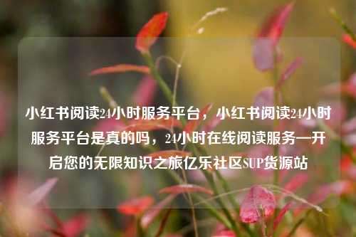小红书阅读24小时服务平台，小红书阅读24小时服务平台是真的吗，24小时在线阅读服务—开启您的无限知识之旅亿乐社区SUP货源站  第1张