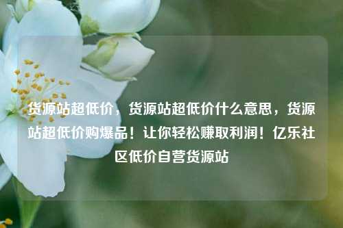 货源站超低价，货源站超低价什么意思，货源站超低价购爆品！让你轻松赚取利润！亿乐社区低价自营货源站  第1张