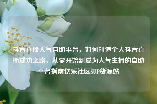 抖音直播人气自助平台，如何打造个人抖音直播成功之路	，从零开始到成为人气主播的自助平台指南亿乐社区SUP货源站  第1张
