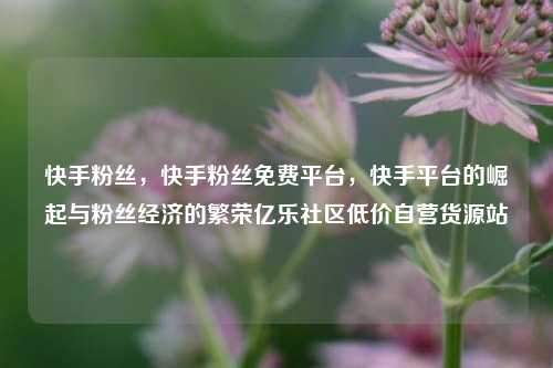 快手粉丝	，快手粉丝免费平台，快手平台的崛起与粉丝经济的繁荣亿乐社区低价自营货源站  第1张